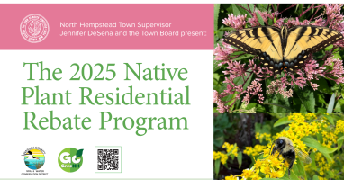 Residents can apply for the Town of North Hempstead's native plant rebate program.